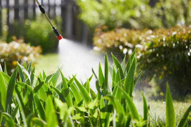 Tamper-Resistant Bait Stations for Rodents in Hays