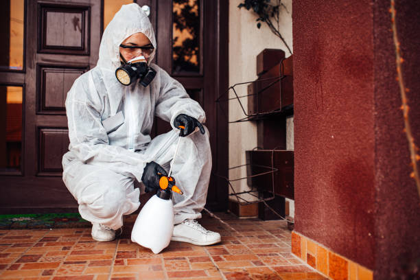 Attic and Crawl Space Rodent Treatment in Hays