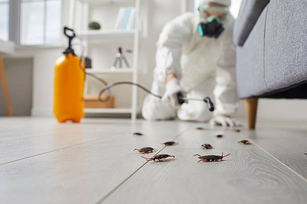 Commercial Rodent Management in Hays